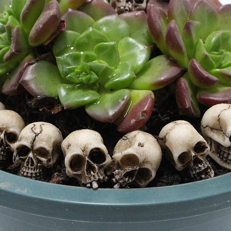 20 Pieces Mini Skulls Decor Skeleton Heads Realistic Skeleton Skulls Crafts Decoration For Flower Pot Home Halloween Decoration acacuss