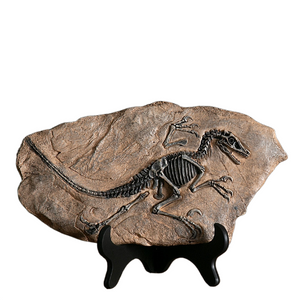 Creative Dinosaur Fossil Resin Craft Decoration Retro Animal Statue Miniature Indoor Living Room Decoration Souvenir Home Gift acacuss