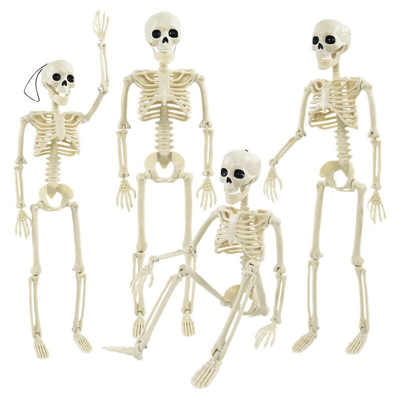 40cm Human Skeleton For Halloween Decoration Realistic Skull Bones Model Halloween Party Home Decor Haunted House Horror Props acacuss