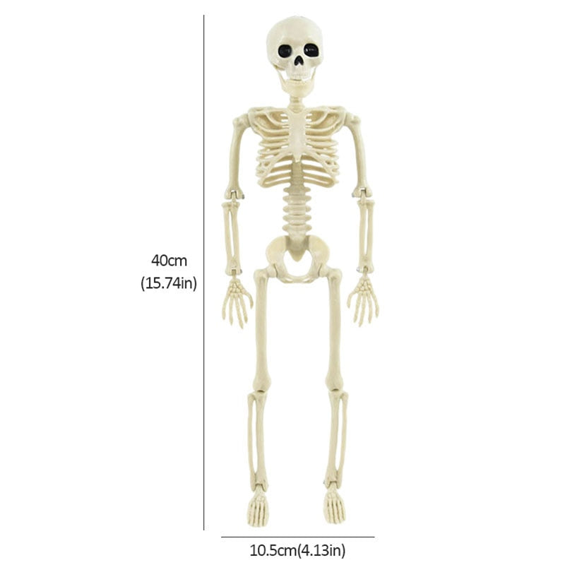 40cm Human Skeleton For Halloween Decoration Realistic Skull Bones Model Halloween Party Home Decor Haunted House Horror Props acacuss