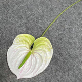 60CM Artificial Anthurium Plants Living Room Home Decoration Simulation 3D Printing Film for Home Aesthetic Room Decor acacuss