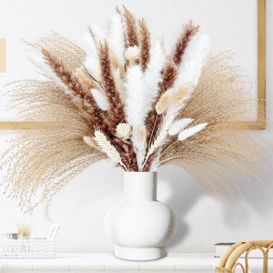 75Pcs Dried Flower Natural Pampas Grass Bouquet Bohemian Chic Decoration Real Rabbit Tail Reed For Wedding Accessories Decor acacuss