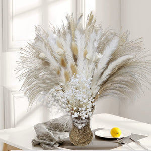 75Pcs Dried Flower Natural Pampas Grass Bouquet Bohemian Chic Decoration Real Rabbit Tail Reed For Wedding Accessories Decor acacuss