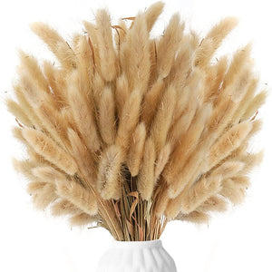 75Pcs Dried Flower Natural Pampas Grass Bouquet Bohemian Chic Decoration Real Rabbit Tail Reed For Wedding Accessories Decor acacuss