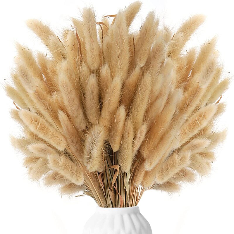 75Pcs Dried Flower Natural Pampas Grass Bouquet Bohemian Chic Decoration Real Rabbit Tail Reed For Wedding Accessories Decor acacuss