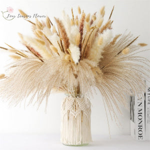 75Pcs Dried Flower Natural Pampas Grass Bouquet Bohemian Chic Decoration Real Rabbit Tail Reed For Wedding Accessories Decor acacuss