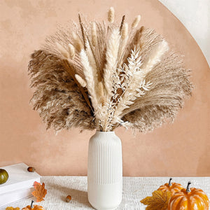 75Pcs Dried Flower Natural Pampas Grass Bouquet Bohemian Chic Decoration Real Rabbit Tail Reed For Wedding Accessories Decor acacuss