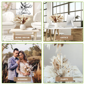 75Pcs Dried Flower Natural Pampas Grass Bouquet Bohemian Chic Decoration Real Rabbit Tail Reed For Wedding Accessories Decor acacuss