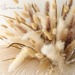 75Pcs Dried Flower Natural Pampas Grass Bouquet Bohemian Chic Decoration Real Rabbit Tail Reed For Wedding Accessories Decor acacuss