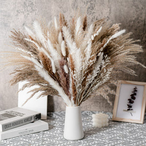 75Pcs Dried Flower Natural Pampas Grass Bouquet Bohemian Chic Decoration Real Rabbit Tail Reed For Wedding Accessories Decor acacuss