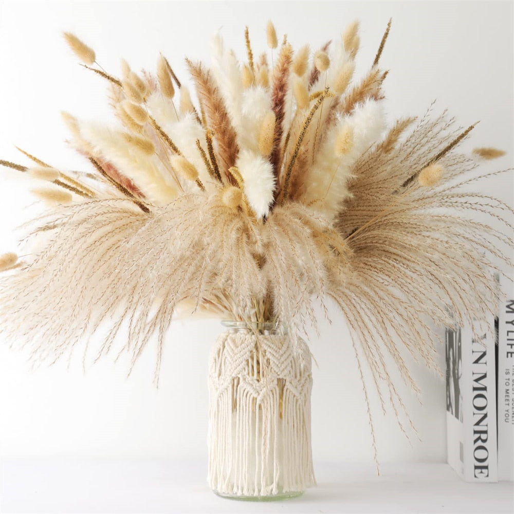 75Pcs Dried Flower Natural Pampas Grass Bouquet Bohemian Chic Decoration Real Rabbit Tail Reed For Wedding Accessories Decor acacuss