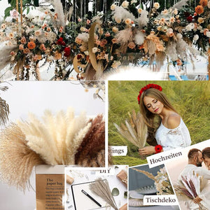 75Pcs Dried Flower Natural Pampas Grass Bouquet Bohemian Chic Decoration Real Rabbit Tail Reed For Wedding Accessories Decor acacuss
