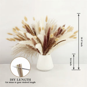 75Pcs Dried Flower Natural Pampas Grass Bouquet Bohemian Chic Decoration Real Rabbit Tail Reed For Wedding Accessories Decor acacuss