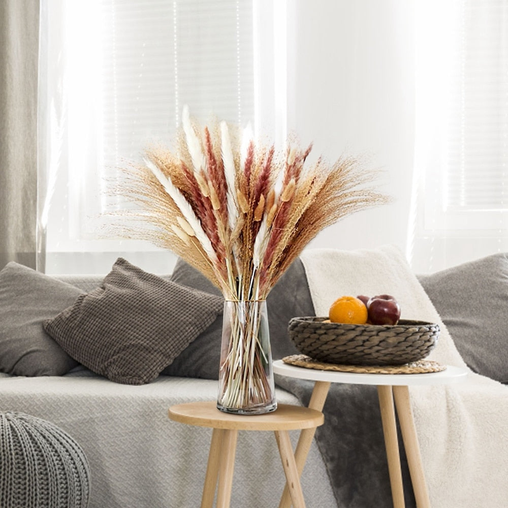 75Pcs Dried Flower Natural Pampas Grass Bouquet Bohemian Chic Decoration Real Rabbit Tail Reed For Wedding Accessories Decor acacuss