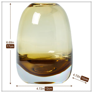Amber Round Glass Vase Home Decor Indoor Living Room Office Desktop Ornaments Set Hydroponic Plant Flower Arrangement Container acacuss