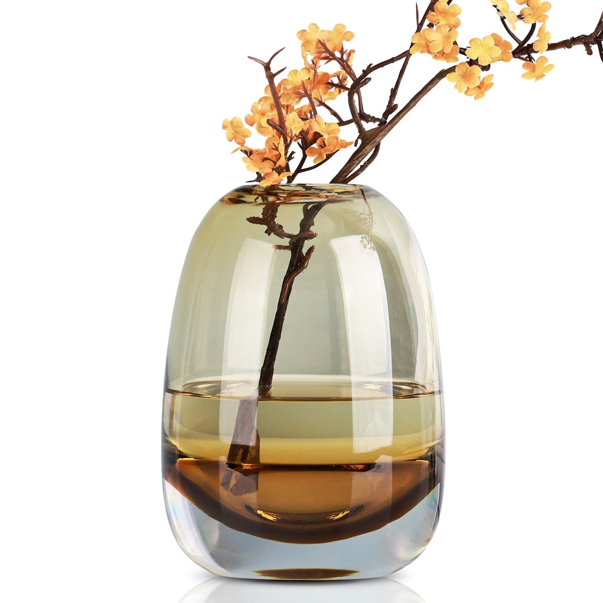Amber Round Glass Vase Home Decor Indoor Living Room Office Desktop Ornaments Set Hydroponic Plant Flower Arrangement Container acacuss