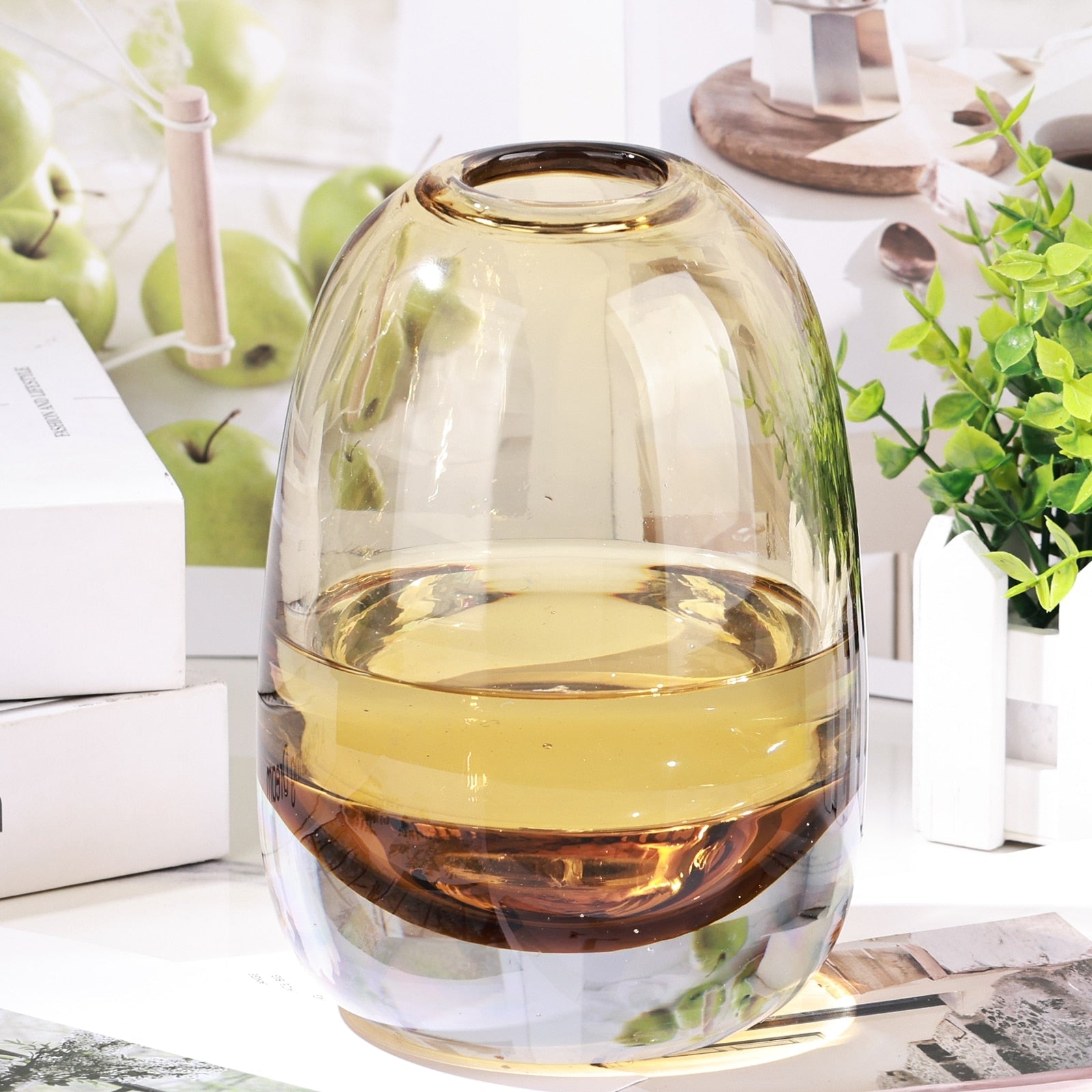 Amber Round Glass Vase Home Decor Indoor Living Room Office Desktop Ornaments Set Hydroponic Plant Flower Arrangement Container acacuss