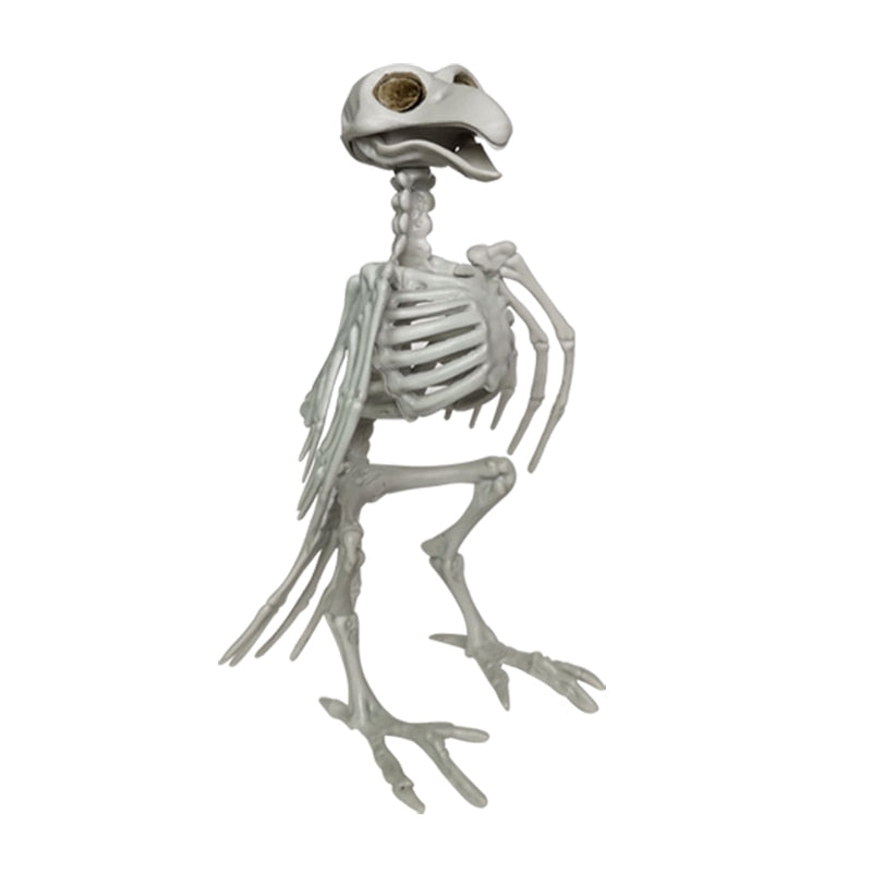 Bat Mouse Crow Skeleton Bones Halloween Animal Horror Frightening Ornaments Hallowmas Creepy Decoration Props Party acacuss