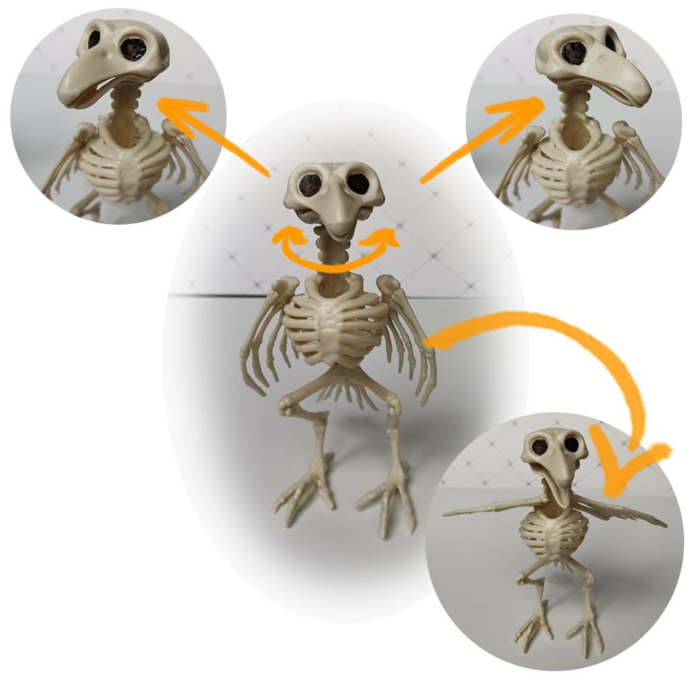 Bat Mouse Crow Skeleton Bones Halloween Animal Horror Frightening Ornaments Hallowmas Creepy Decoration Props Party acacuss