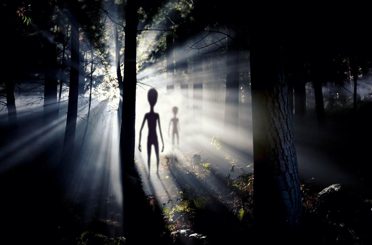 Black Night UFO Dim Style Poster Canvas Art Prints Alien Flying Saucer Arrest People Weird Wall Painting Decoration For Room acacuss