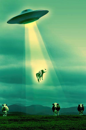 Black Night UFO Dim Style Poster Canvas Art Prints Alien Flying Saucer Arrest People Weird Wall Painting Decoration For Room acacuss