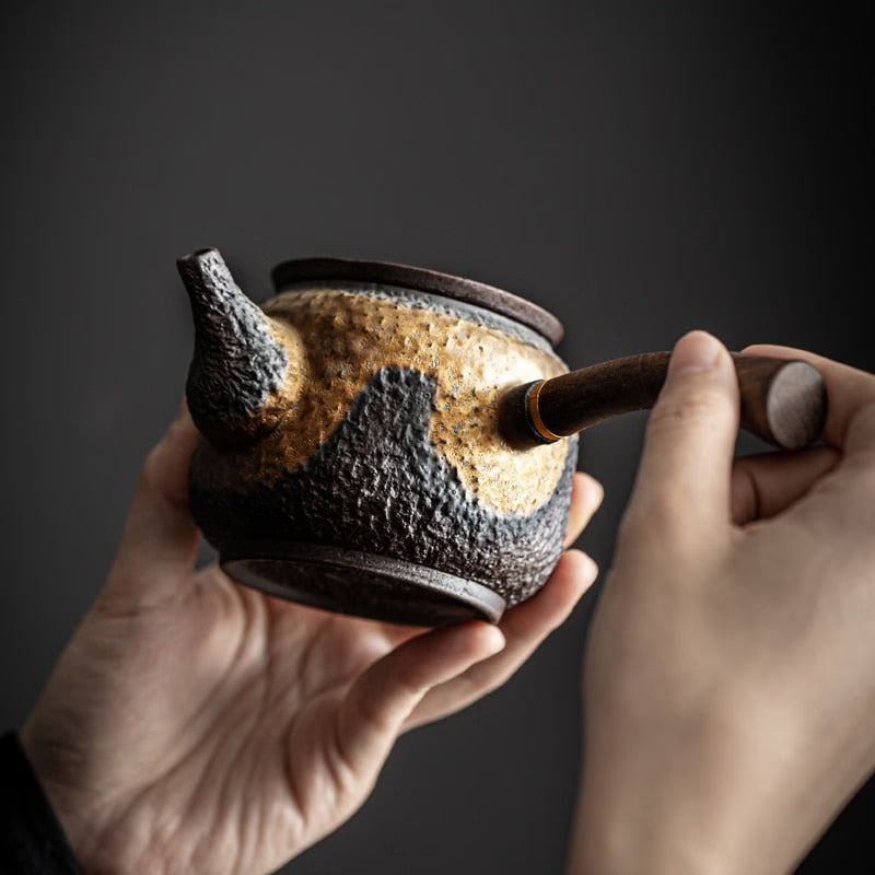 Bronze ceramic kyusu vintage chinese ceramic tea pot drinkware 230ml acacuss