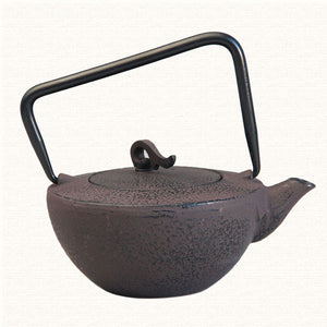 Cast Iron Tea Pot Set Japanese Teapot Tetsubin Kettle Drinkware KungFu Tools Stainless Steel Strainer Tea Kettle 450ml acacuss