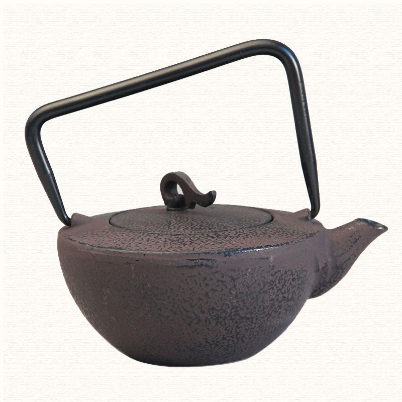 Cast Iron Tea Pot Set Japanese Teapot Tetsubin Kettle Drinkware KungFu Tools Stainless Steel Strainer Tea Kettle 450ml acacuss