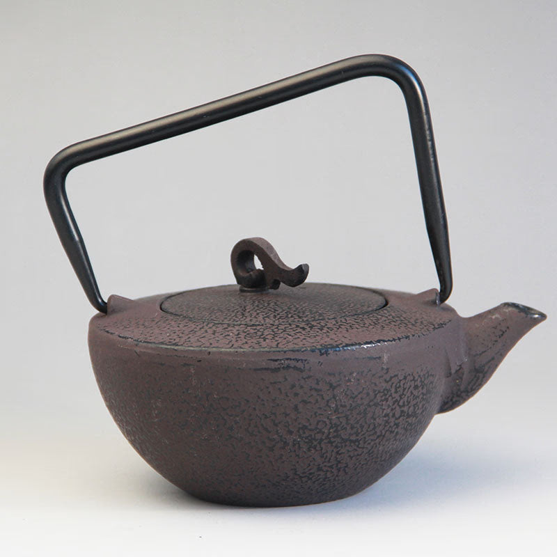 Cast Iron Tea Pot Set Japanese Teapot Tetsubin Kettle Drinkware KungFu Tools Stainless Steel Strainer Tea Kettle 450ml acacuss