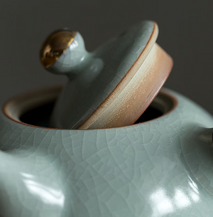 Ceramic kyusu teapot with wooden Side handle I Japanese Ceramic Teapot acacuss