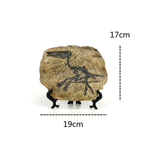 Creative Dinosaur Fossil Resin Craft Decoration Retro Animal Statue Miniature Indoor Living Room Decoration Souvenir Home Gift acacuss
