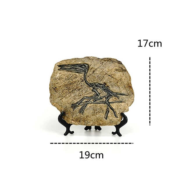 Creative Dinosaur Fossil Resin Craft Decoration Retro Animal Statue Miniature Indoor Living Room Decoration Souvenir Home Gift acacuss