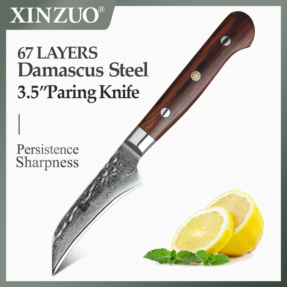 XINZUO 3.5 Inch Paring Knife 67 Layers Real Damascus Stainless Steel Kitchen Knife Sharp Cutter Peeling Fruit Kitchen Tools