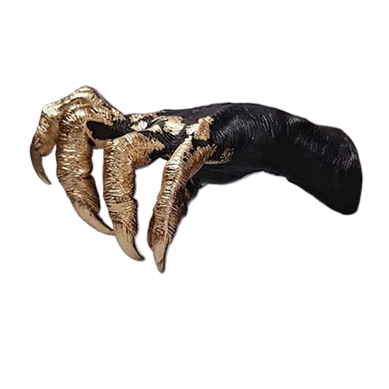 Halloween The Witchs Hand Wall Hanging Features Collection Universal Hook Home Decoration for Necklace Pendant Jewelry Ornament acacuss