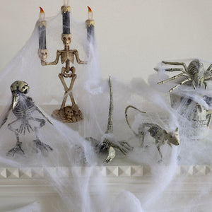 Horror Spider Scorpion Crow Mouse Skeleton Bones Happy Halloween Party Decoration Props Creepy Animal Frightening Ornaments acacuss