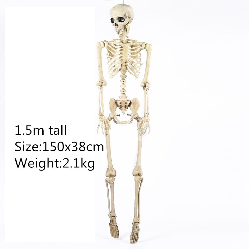 Hot Skeleton animal 100% Plastic Animal Skeleton Bones Horror Halloween Christmas Prop animal Crow Skeleton Decoration New Year acacuss