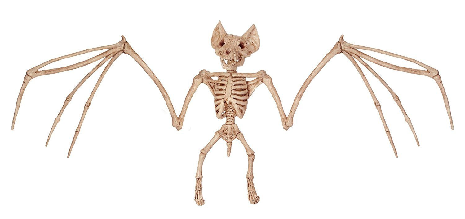 Hot Skeleton animal 100% Plastic Animal Skeleton Bones Horror Halloween Christmas Prop animal Crow Skeleton Decoration New Year acacuss