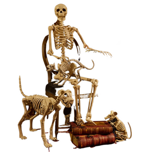 Hot Skeleton animal 100% Plastic Animal Skeleton Bones Horror Halloween Christmas Prop animal Crow Skeleton Decoration New Year acacuss