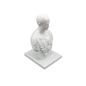 Julius Caesar statue Office Desk Pen Holder Office Desk Organizer Office Decor pen Rack Gift Stationery teacher gift acacuss