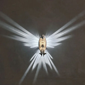 Lofytain LED Animal Projection Lamp Owl Lion Eagle Night Light Animal Wall Sconce Study Bedroom Decoration Ornaments acacuss