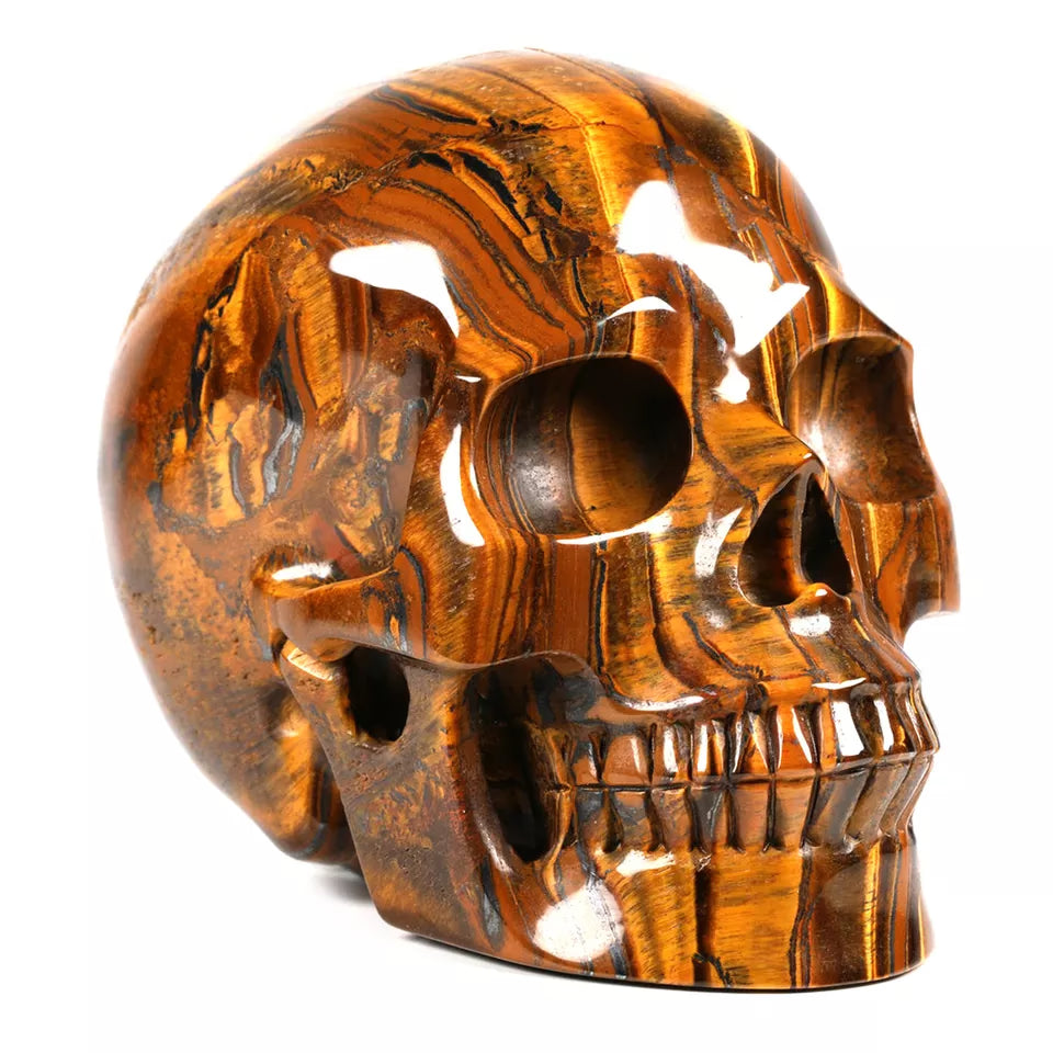 Natural Stone Skeletons, Tiger Eye Stone Skeletons, Crystal Healing Gifts, Crafts, Home Decor, Polished Figurines, Halloween Dec acacuss