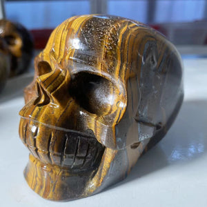 Natural Stone Skeletons, Tiger Eye Stone Skeletons, Crystal Healing Gifts, Crafts, Home Decor, Polished Figurines, Halloween Dec acacuss