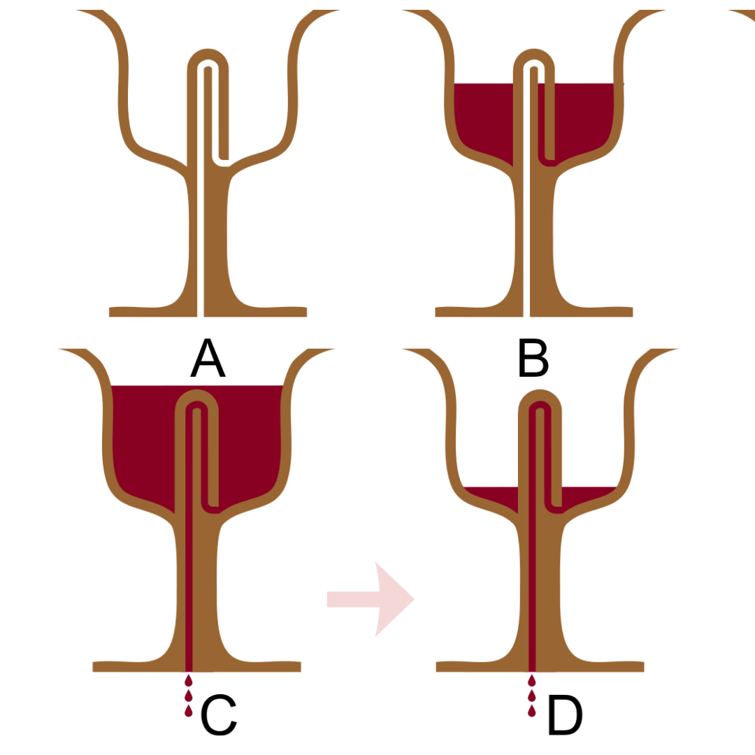 Pythagoras cup, Greedy Cup, Cup of Justice, Tantalus cup or i koupa tis dikaiosynis Fair Cup 7.5CM - acacuss