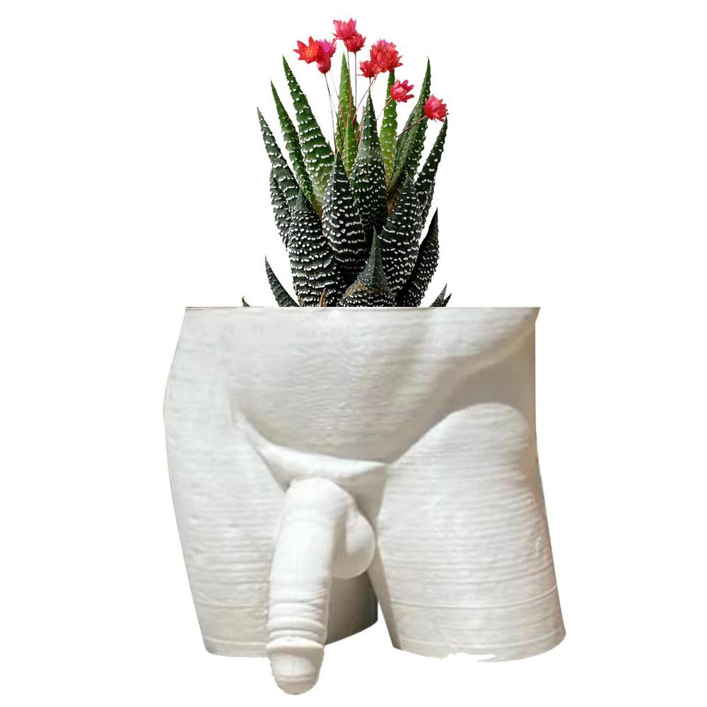butt plant pot Resin Plant Pot Decor Sexy Men Naked Butt Flower Growing Pot Desktop O – acacuss