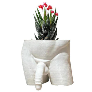 Resin Plant Pot Decor Sexy Men Naked Butt Flower Growing Pot Desktop Ornament Home Decorations for Succulents Ferns Planter Pot acacuss