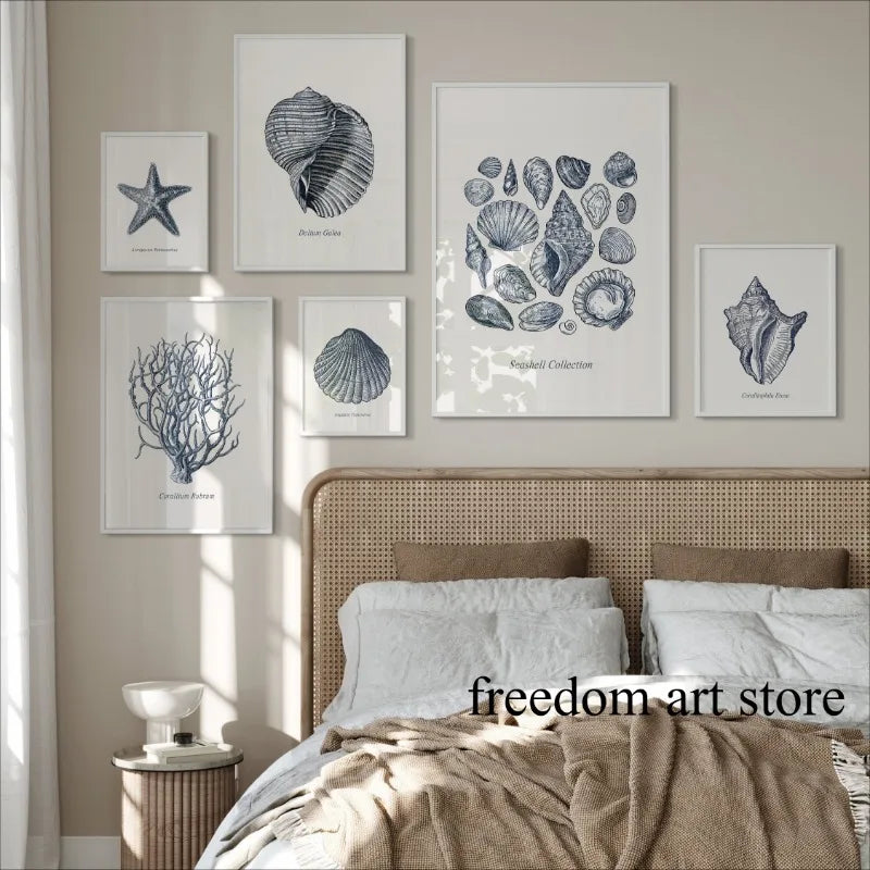 Antique Vintage Seashell Sketch Style Coastal Gallery Art Poster Canvas Painting Wall Prints Picture for Living Room Home Decor