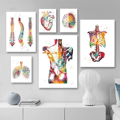 Startseite Menschliche Anatomie Muskelsystem Wandkunst Leinwand Malerei Poster und Drucke Körperkarte Wandbilder Medizinische Ausbildung Dekor