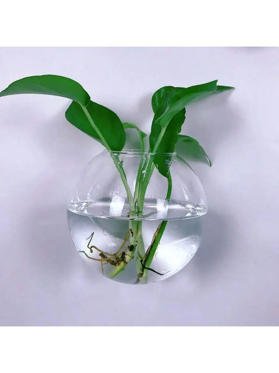 2/4/6 Pack Wall Hanging Glass Terrarium
