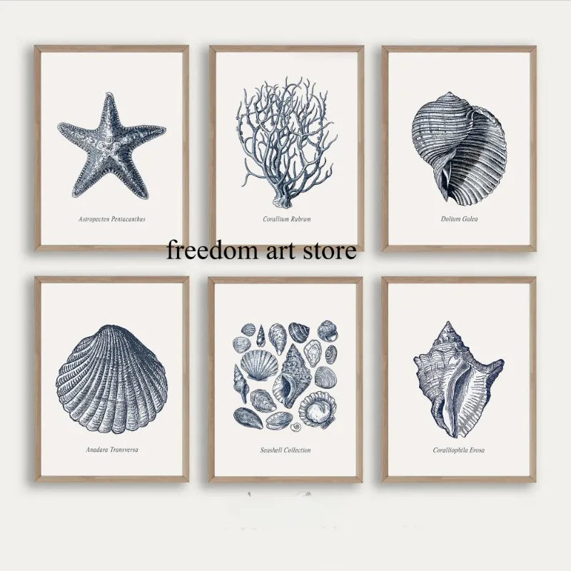 Antique Vintage Seashell Sketch Style Coastal Gallery Art Poster Canvas Painting Wall Prints Picture for Living Room Home Decor
