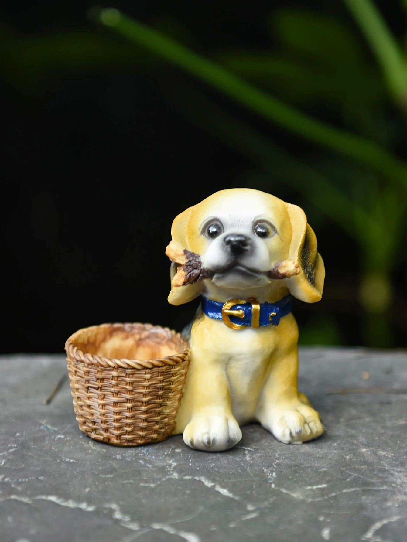 succulent bite Cute Mini Dog Bite Bone Succulent Plant Flower Pot Courtyard Lawn Gard – acacuss